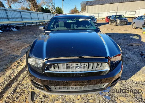 2013 Ford Mustang z USA, uszkodzony, nr VIN 1ZVBP8AM3D5250908